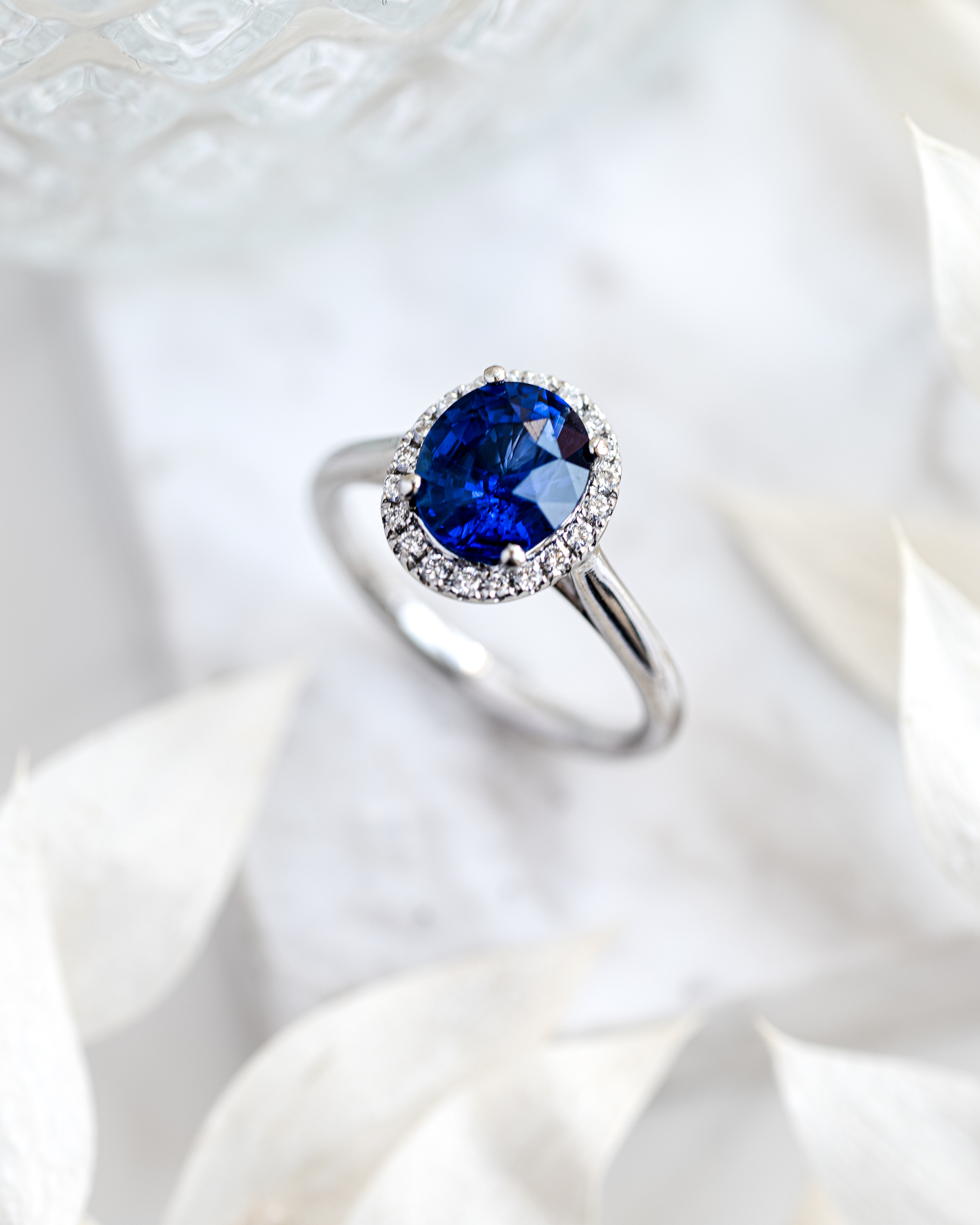 Oval Ceylond Sapphire Ring with Diamond Halo photographed on a white marble base with white leaves surrounding